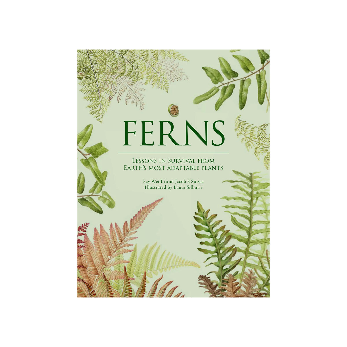 The book cover of 'Ferns: Lessons in Survival from Earth's Most Adaptable Plants' by Fay Wu Li and Jacob S. Sauer, illustrated by Laura Silbern.