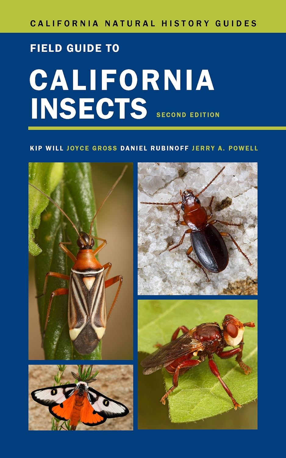Beautifully illustrated and approachable, this is the only California-specific, statewide book devoted to all groups of insects. Completely revised for the first time in over 40 years, Field Guide to California Insects now includes over 600 insect species, each beautifully illustrated with color photographs .536 pages.