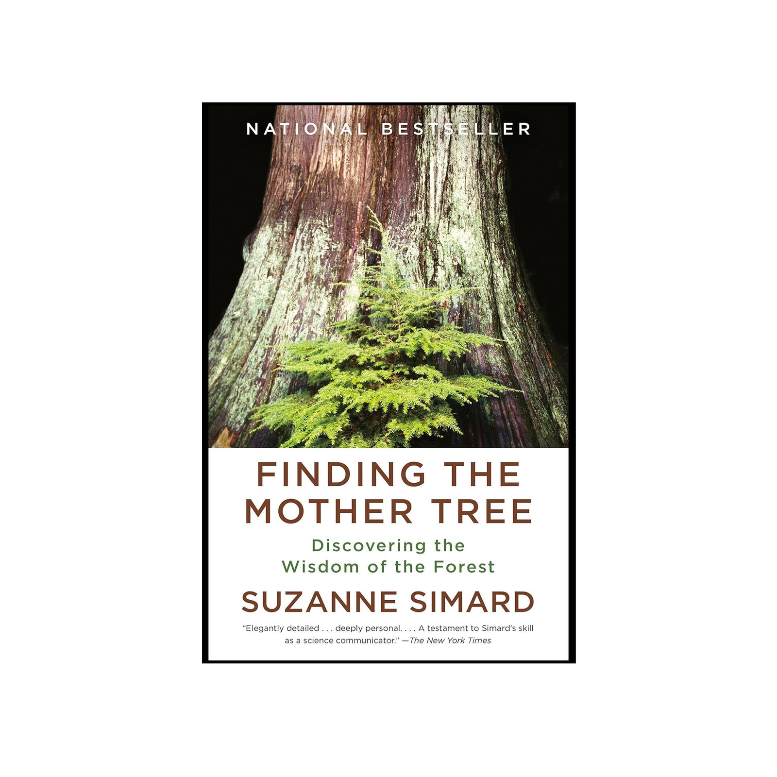 Book cover of 'Finding the Mother Tree' by Suzanne Simard featuring a large tree and forest scene.