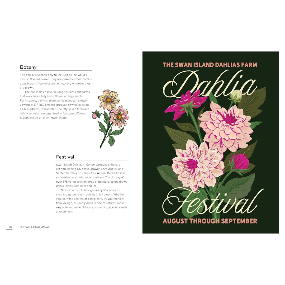 FLORAPHILE'S ALMANAC: AN ILLUSTRATED MISCELLANY