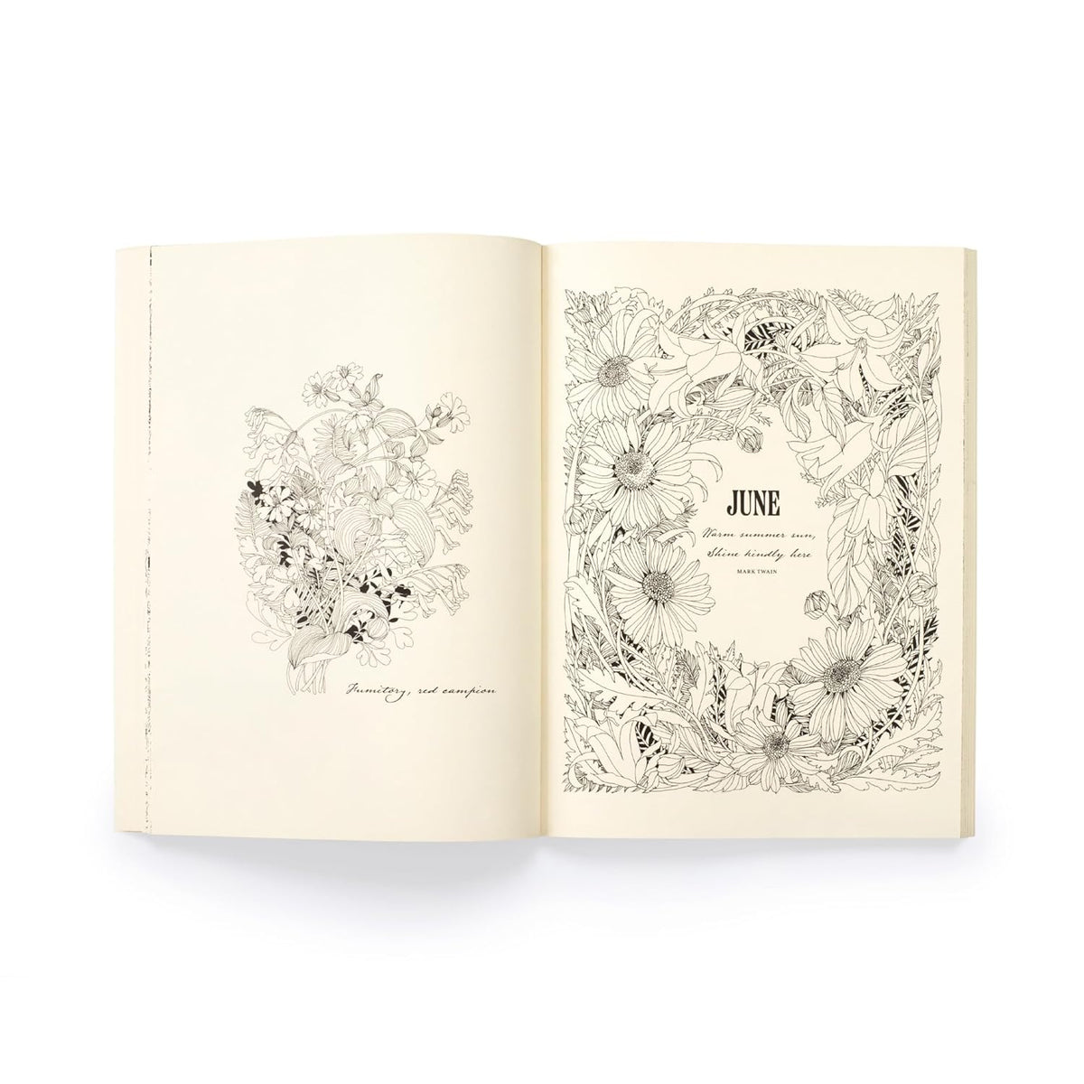 Open book with floral illustrations on a white background