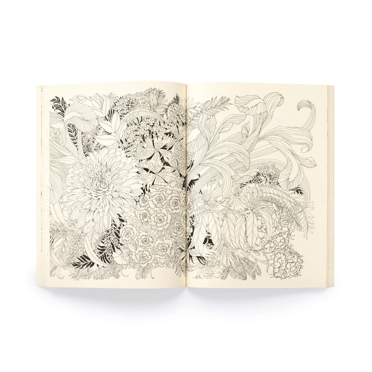 FLORIBUNDA YEAR: A FLOWER COLORING COMPANION