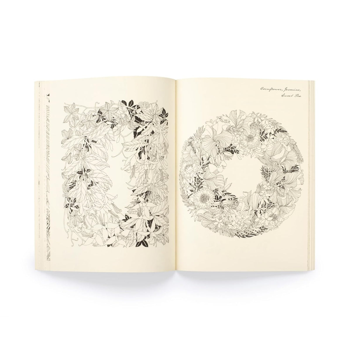 FLORIBUNDA YEAR: A FLOWER COLORING COMPANION