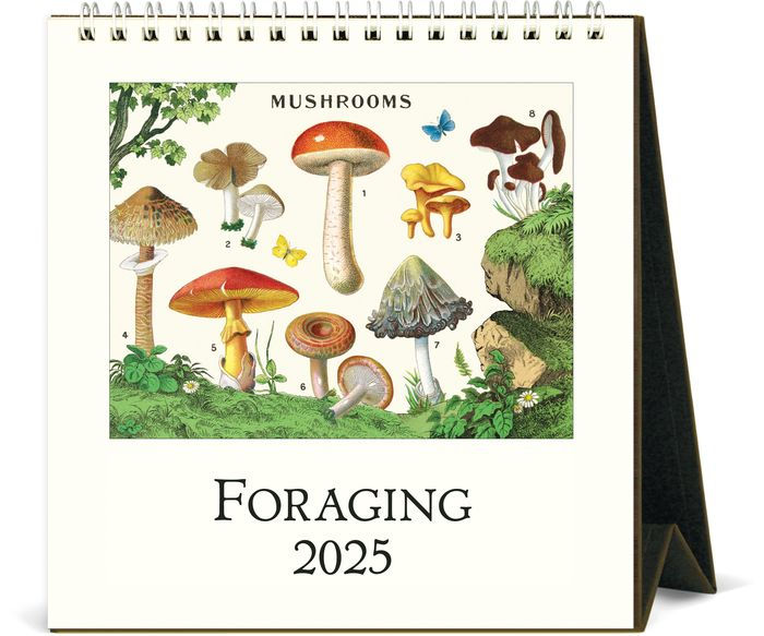 Celebrate fabulous fungi, every month of the year with this 2024, Mushroom themed desk calendar. It features high quality, full color 19th century vintage mushroom prints, which are of a frameable quality. 2024 desk calendar Spiral bound Size Closed: 6 x 6.5 Size Open: 6 x 6.5