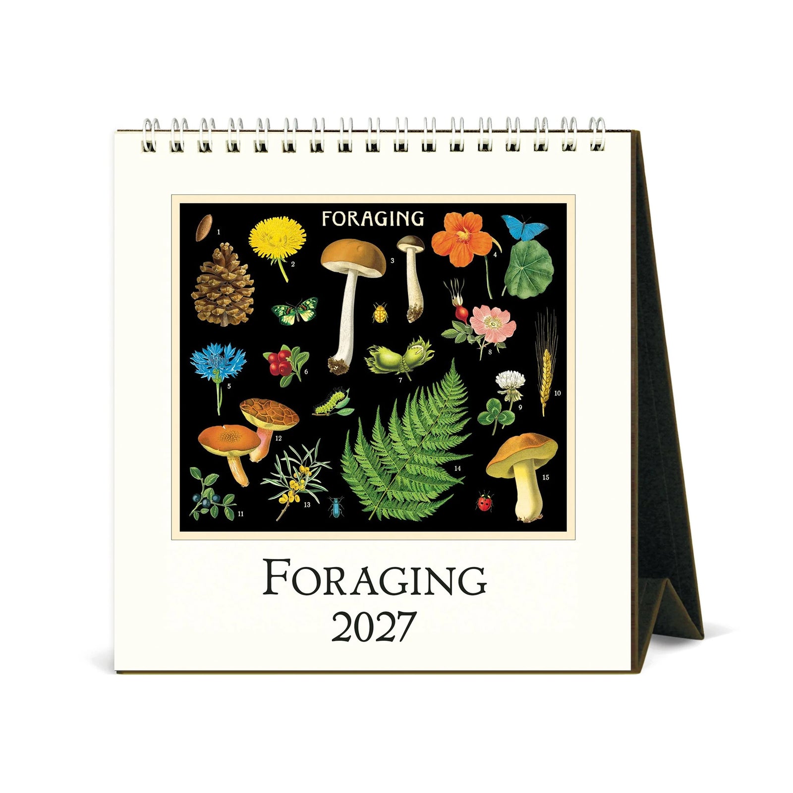A spiral-bound 2027 desk calendar titled 'FORAGING 2027' with a cream cover featuring a central botanical illustration of mushrooms, ferns, and wildflowers on a black background. The calendar is shown standing upright on a white background.