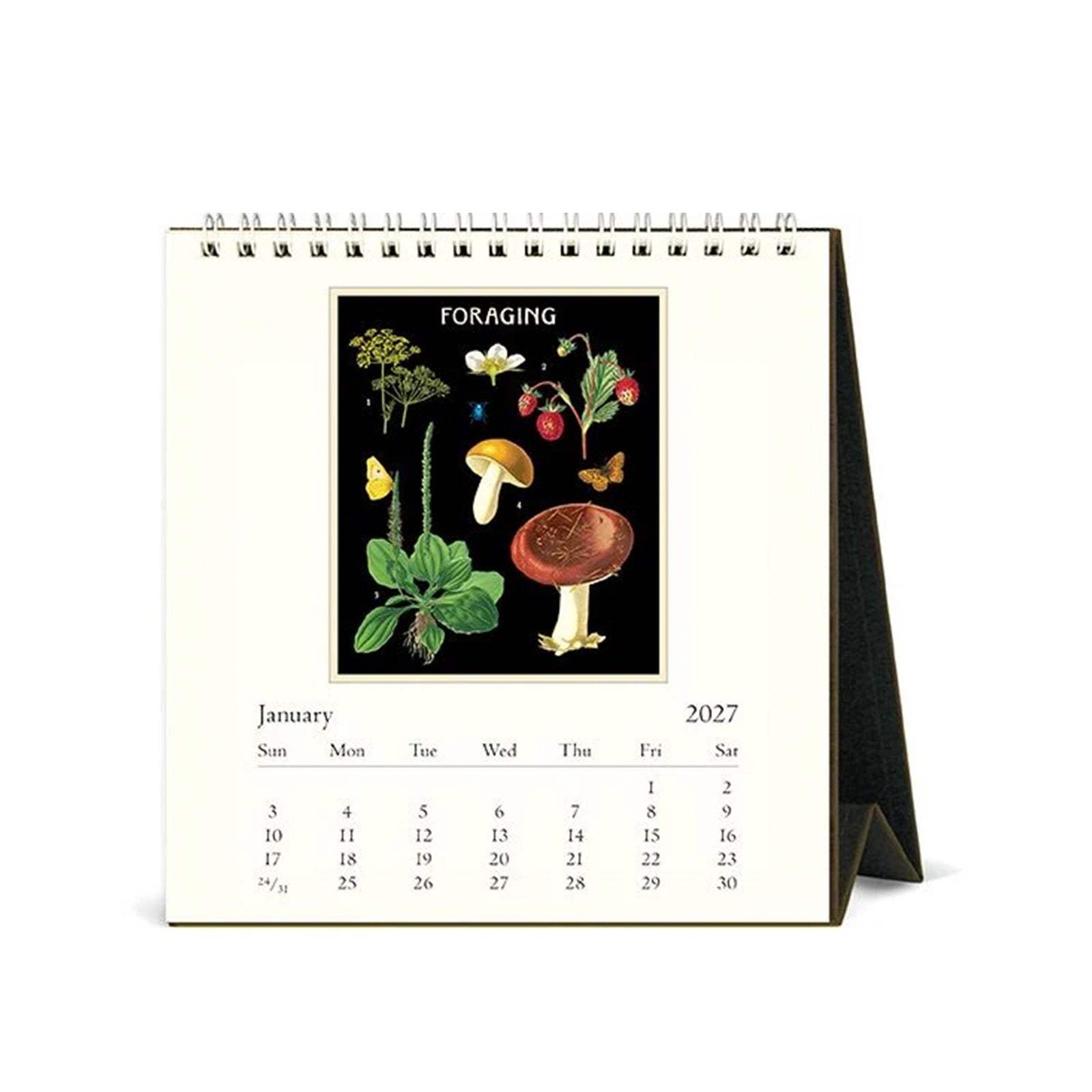 A spiral-bound 2027 desk calendar titled 'FORAGING 2027' with a cream cover featuring a central botanical illustration of mushrooms, ferns, and wildflowers on a black background. The calendar is shown standing upright on a white background.