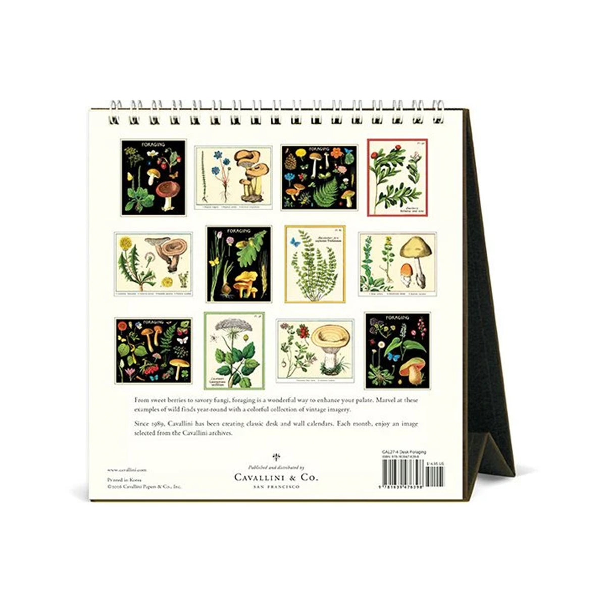 FORAGING- 2027 DESK CALENDAR