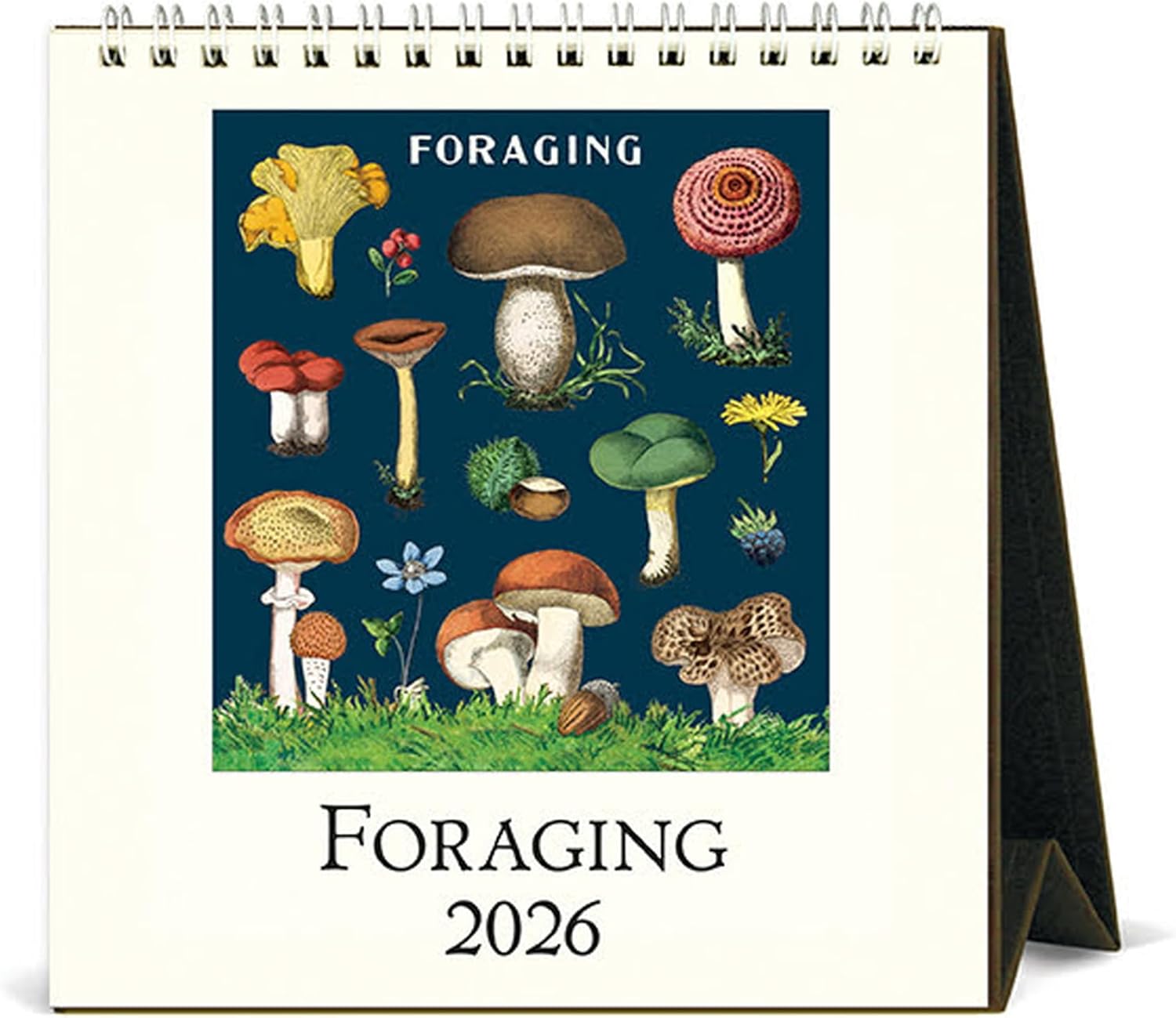 2026 calendar with illustrations of mushrooms on a blue background