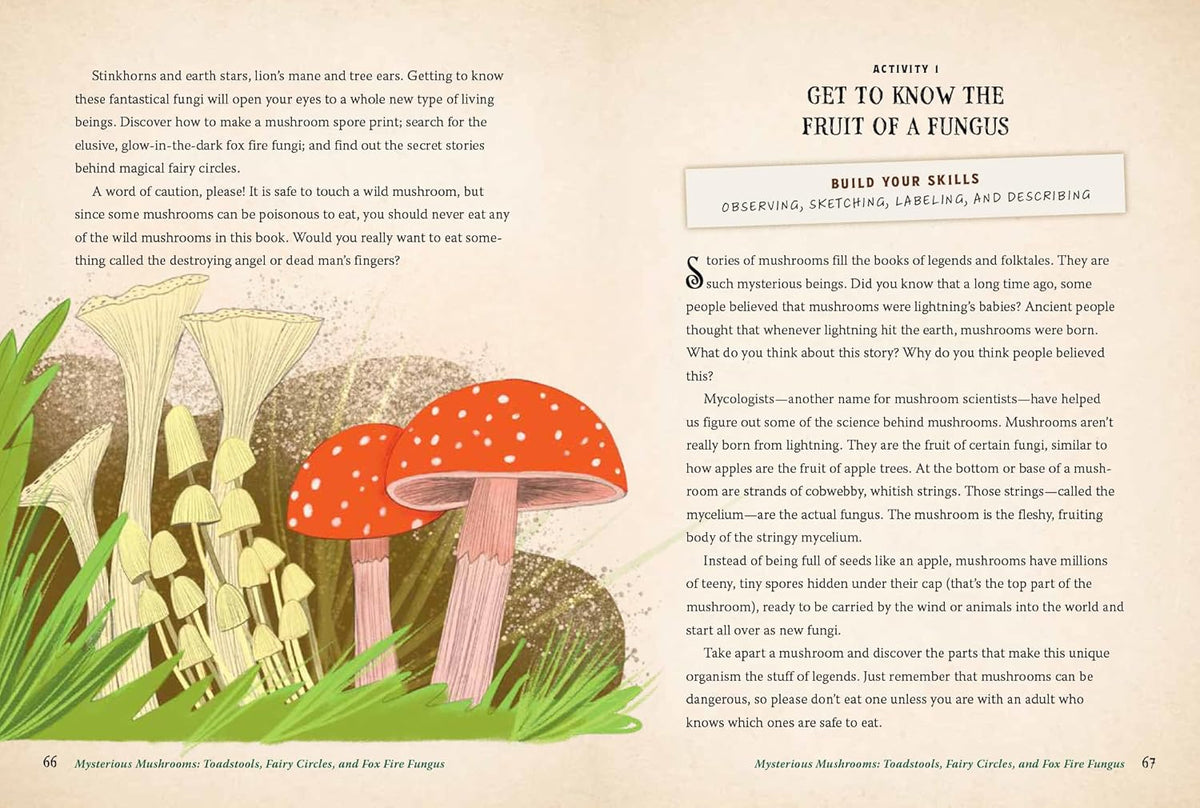 FOREST MAGIC FOR KIDS