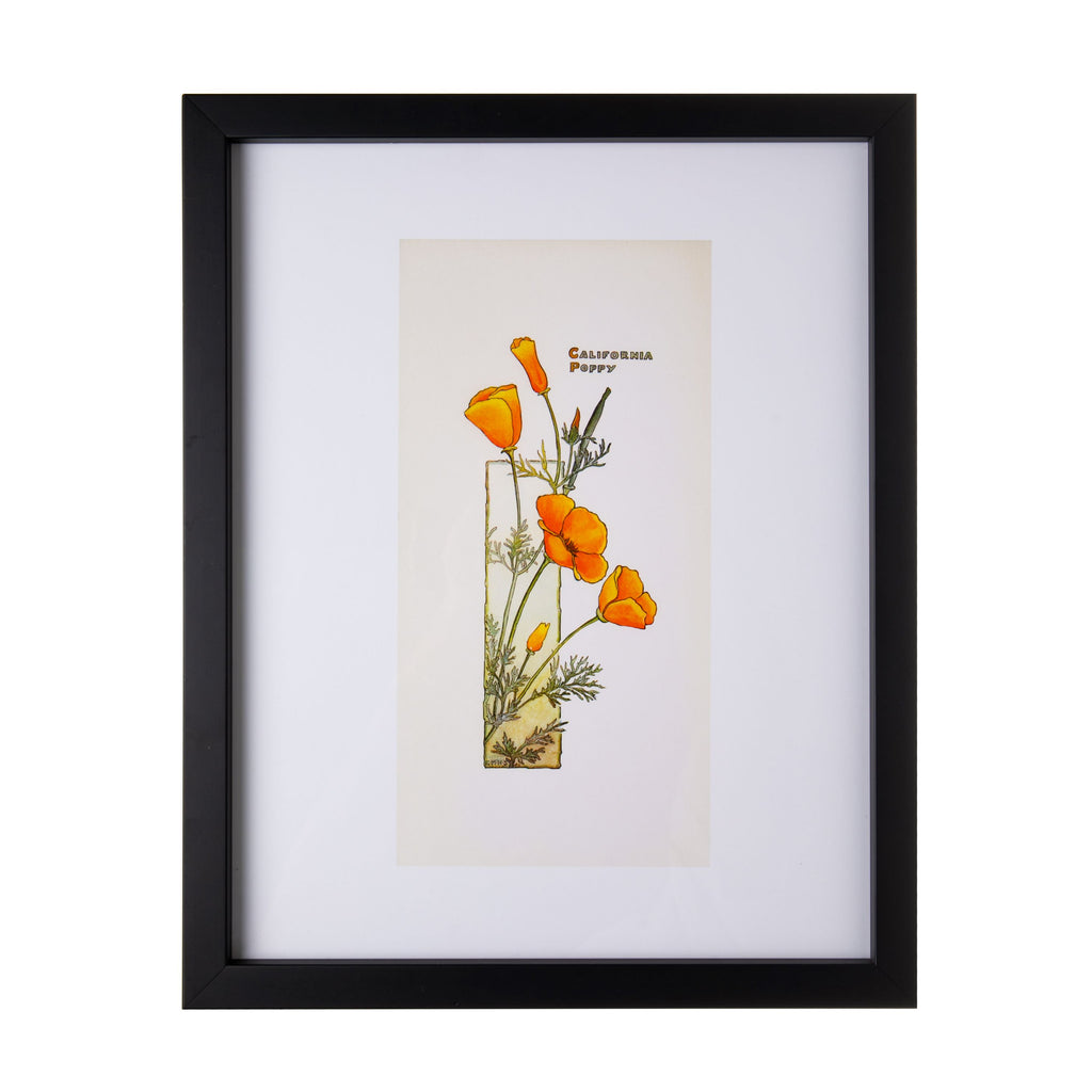 This high quality, framed, fine art print, features California Poppy (ca.1905) by artist Elisabeth M. Hallowell (American, 1861 - 1910). The original watercolor resides in the collections of The Huntington. A perfect gift or home decor accent. Size including frame 12"w x 15" h x 1.5"d. Exclusive to the Huntington Store
