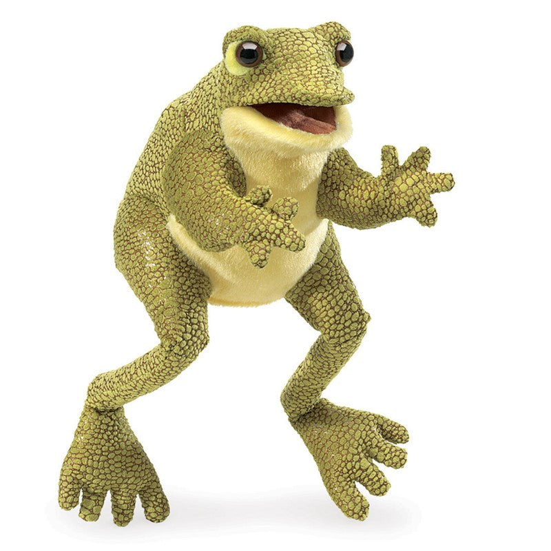 Plush frog toy on a white background