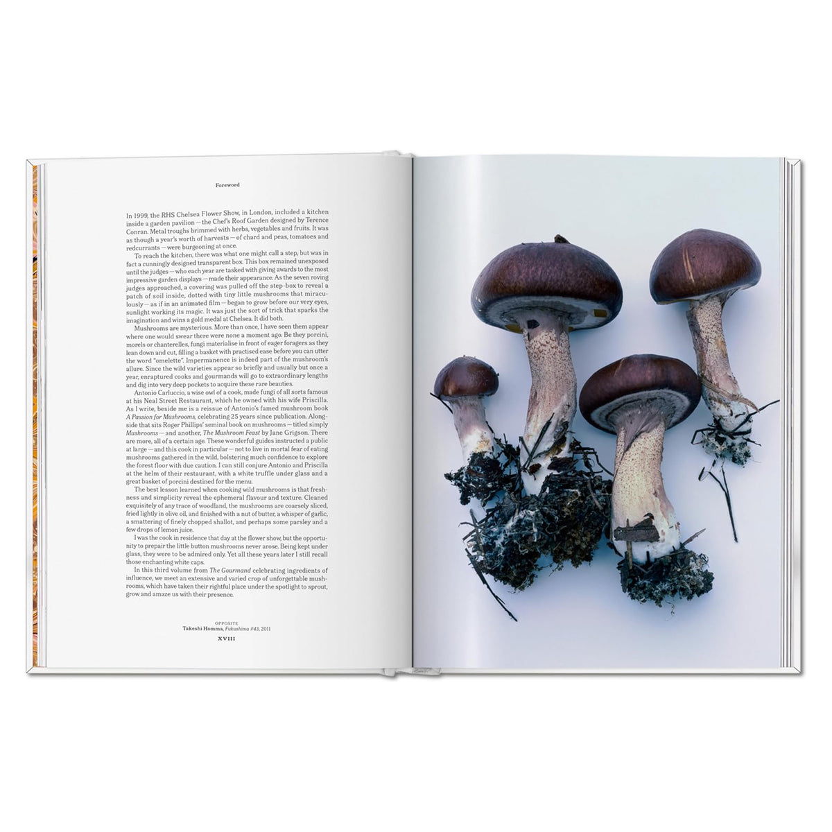 THE GOURMAND'S MUSHROOM. A COLLECTION OF STORIES & RECIPES