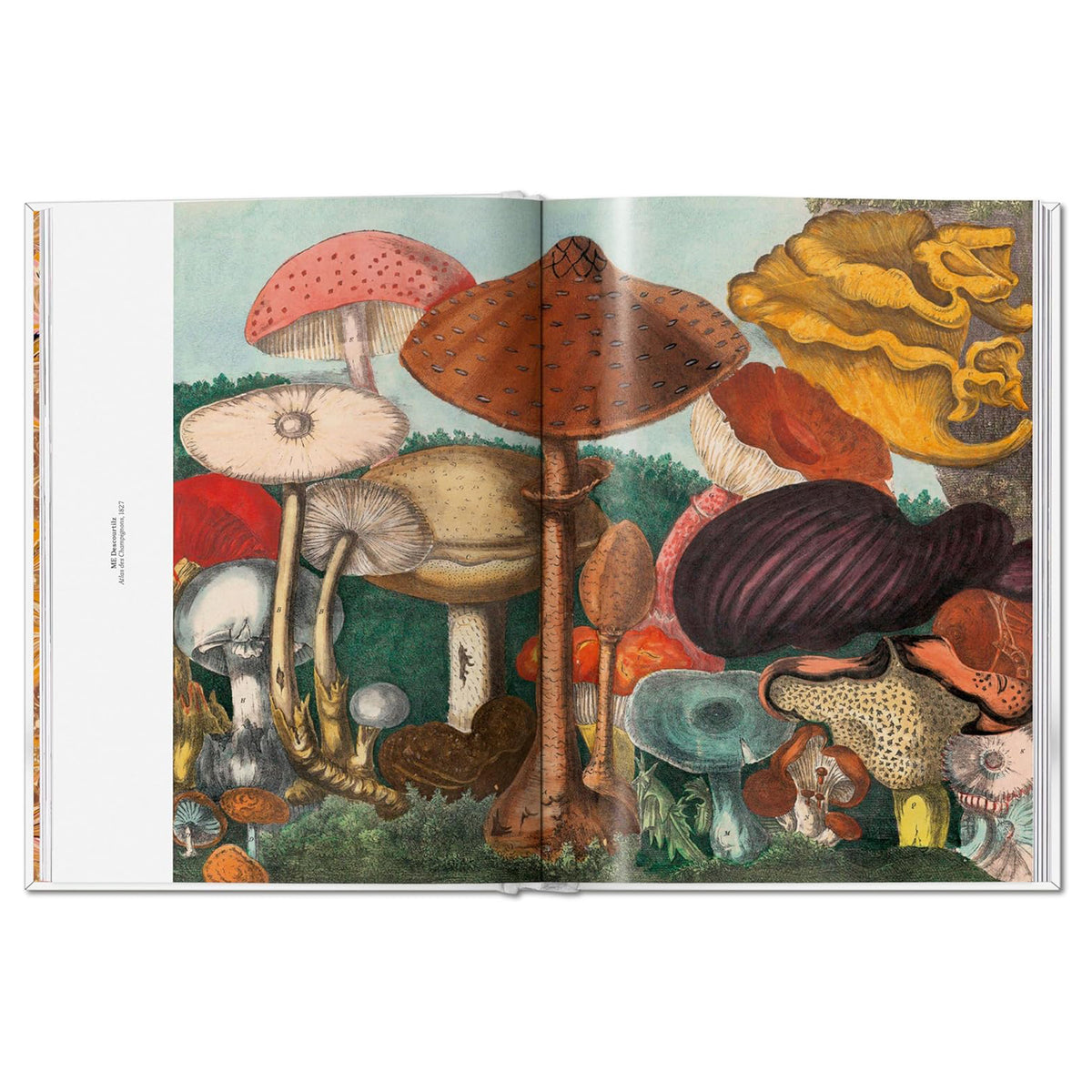 THE GOURMAND'S MUSHROOM. A COLLECTION OF STORIES & RECIPES