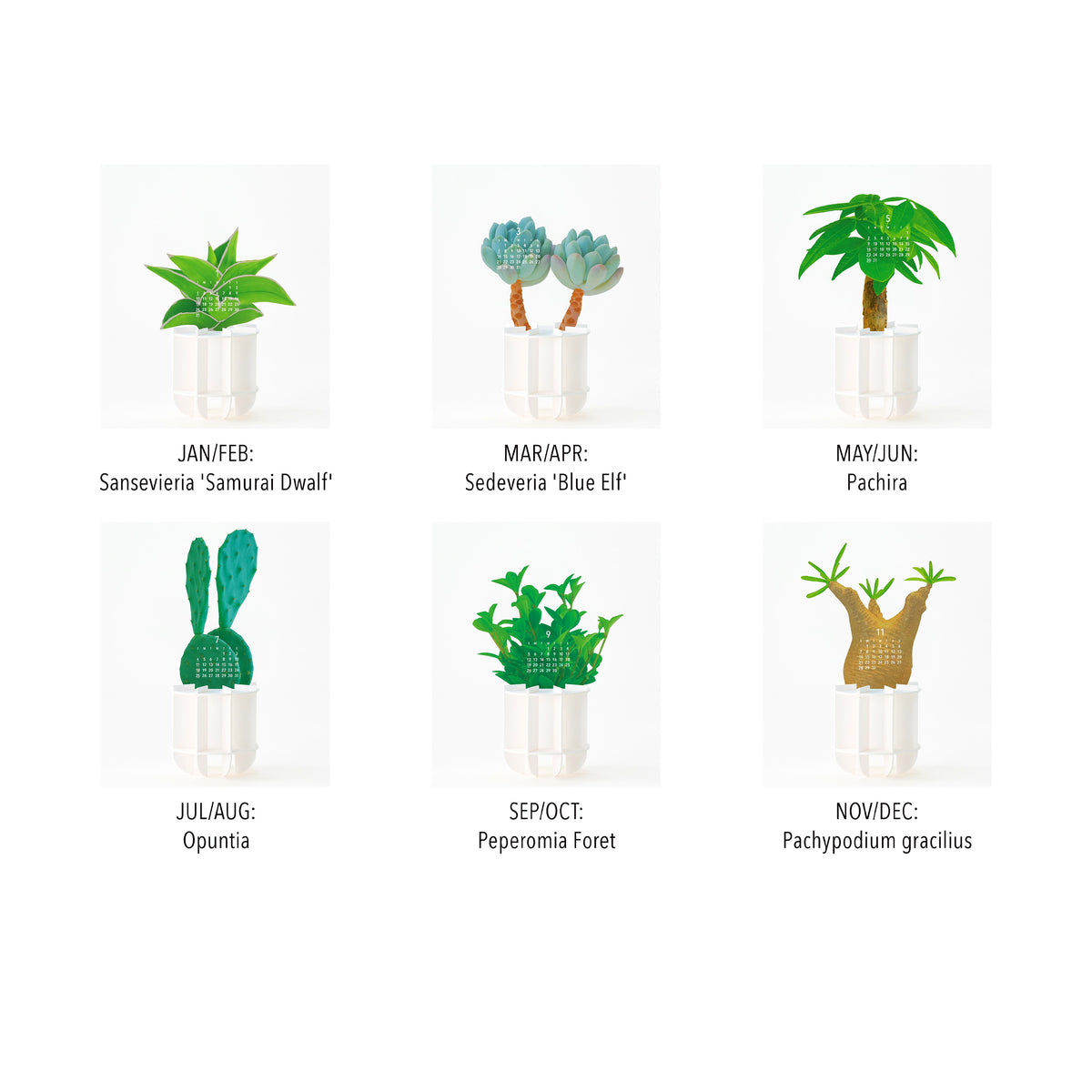 3D GREEN PLANTS 2027 CALENDAR