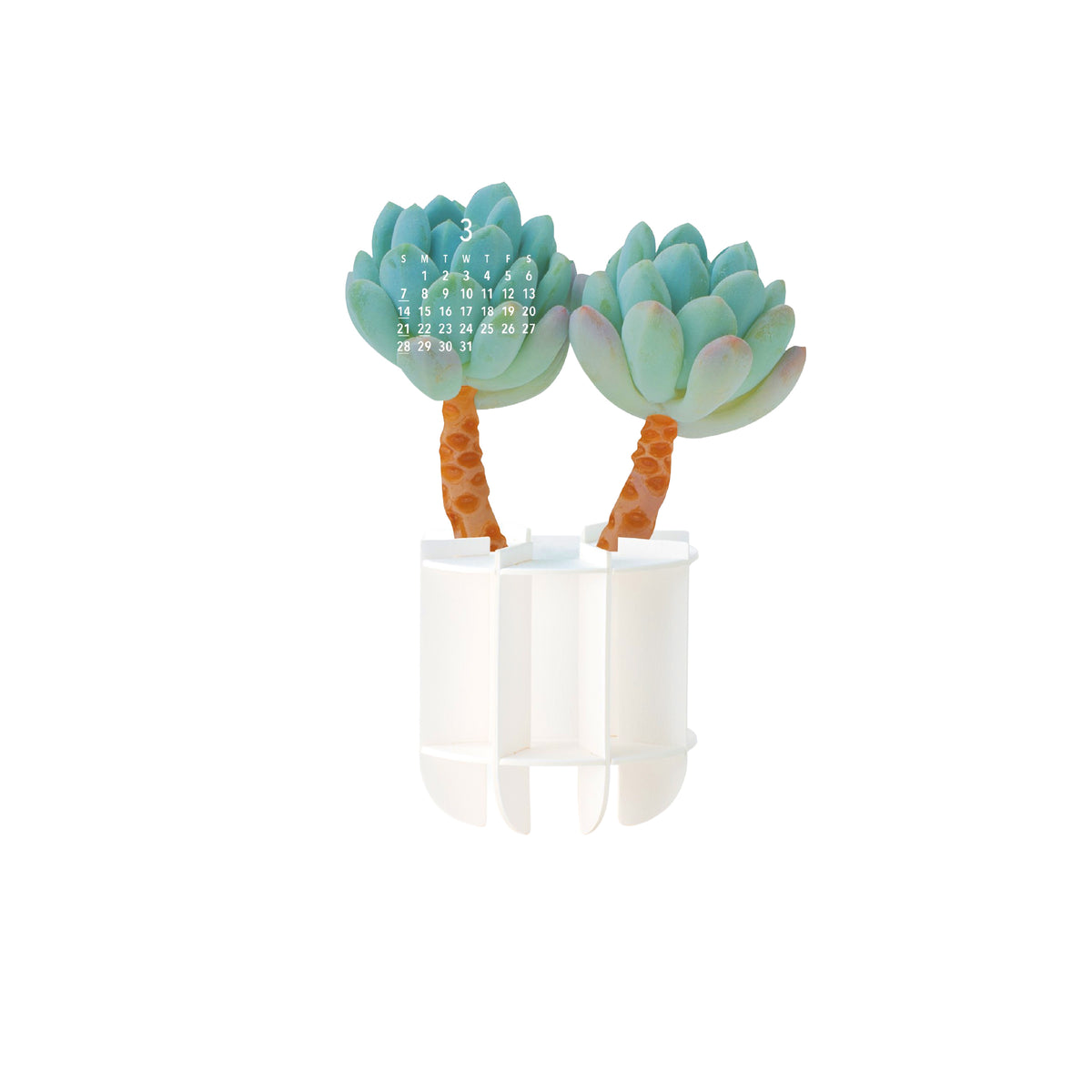 3D GREEN PLANTS 2027 CALENDAR