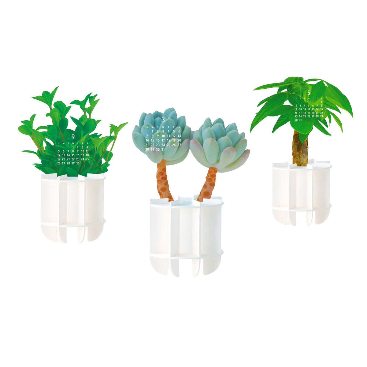 3D GREEN PLANTS 2027 CALENDAR