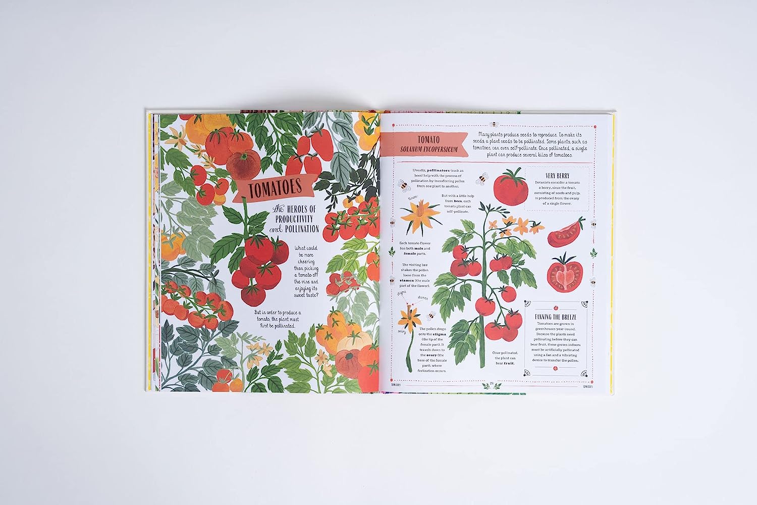 Discover 15 plants and fungi with life-changing powers and learn how to grow them at home. Meet their surprising relatives (the tasty tomato is a cousin of deadly nightshade!) and unearth their interesting stories (lettuce was the first plant to be grown in space!). 61 pages Hardcover Age: 8 -12 years.
