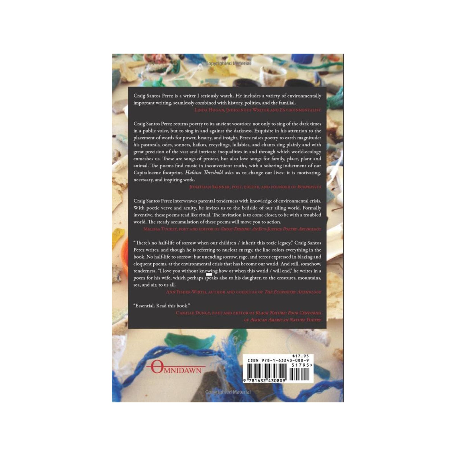 Book cover with a man and child on a beach and mountain landscape.