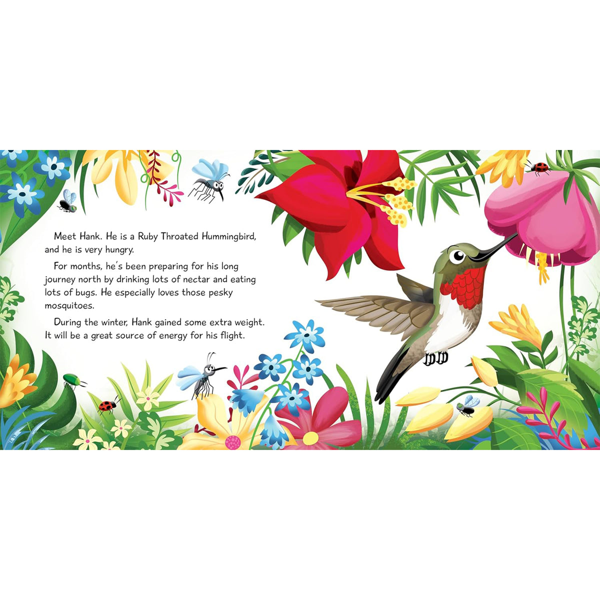 HANK THE HUNGRY HUMMINGBIRD