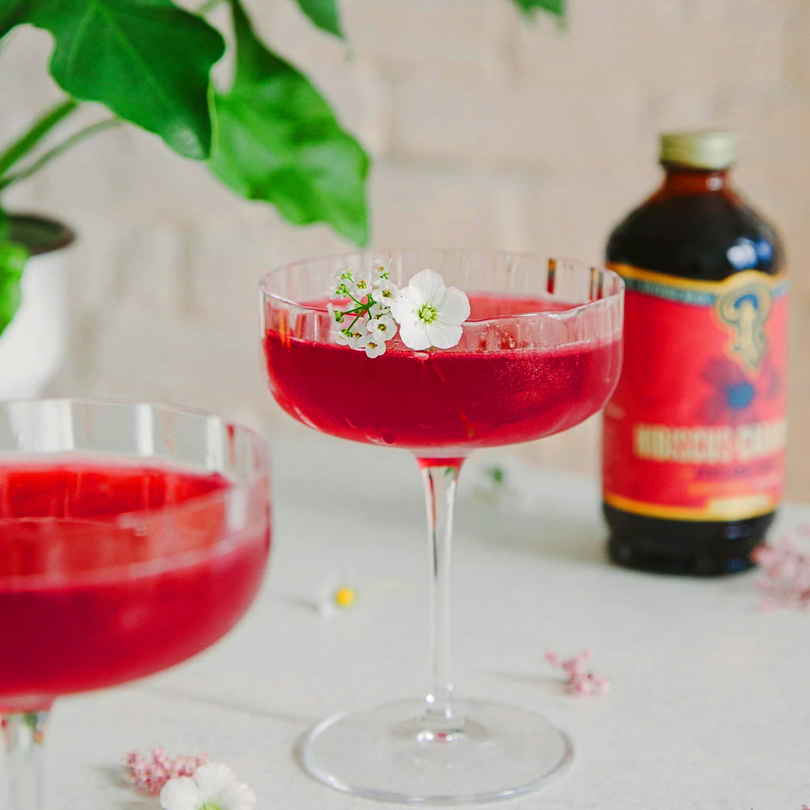 A bottle of Portland Syvurg Hibiscus Cardamom Premium Beverage Concentrate on a solid white background. The bottle is made of dark red glass with a gold cap and features a bright red label with green hibiscus flowers and a gold logo.