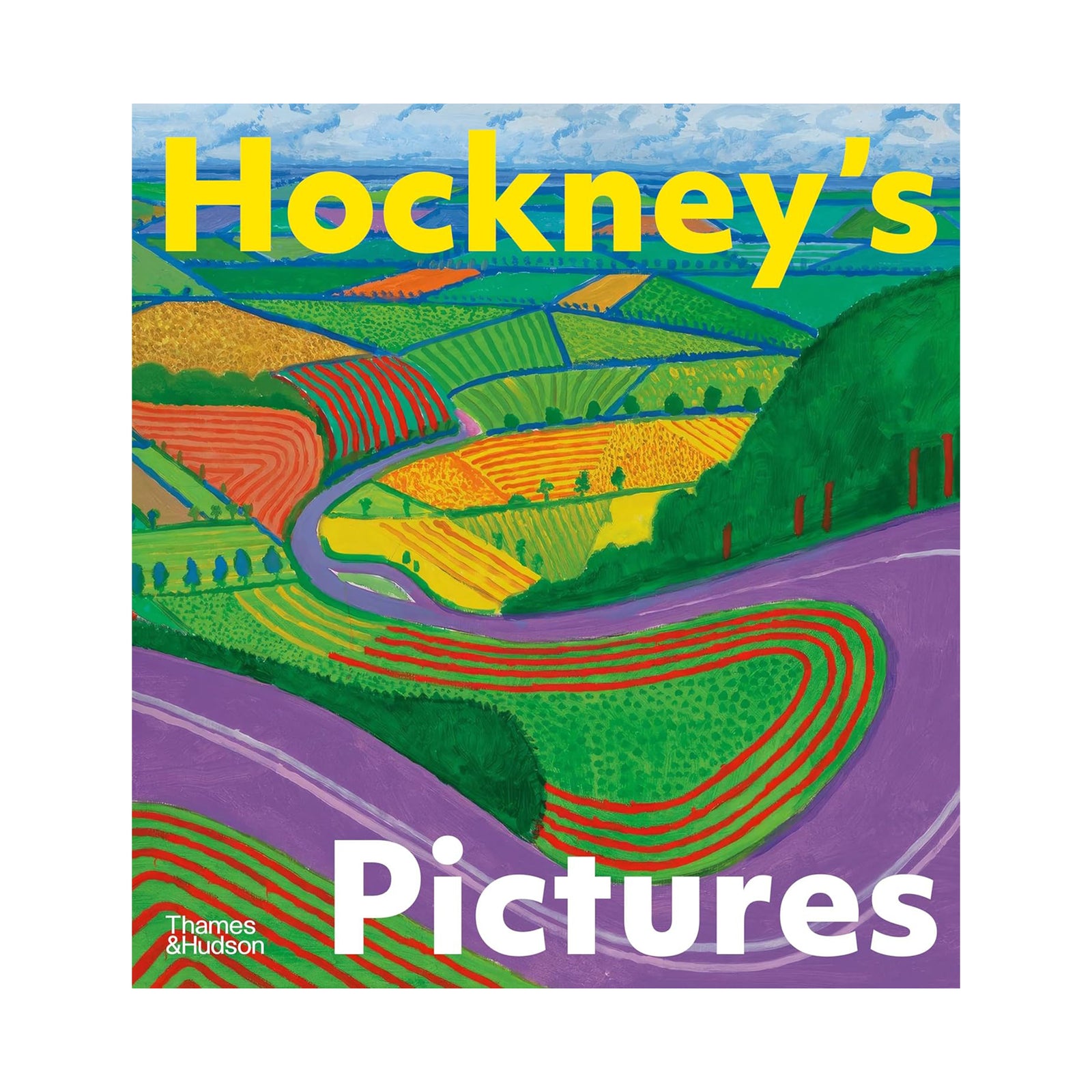 Book cover of 'Hockney's Pictures' with colorful landscape illustration.