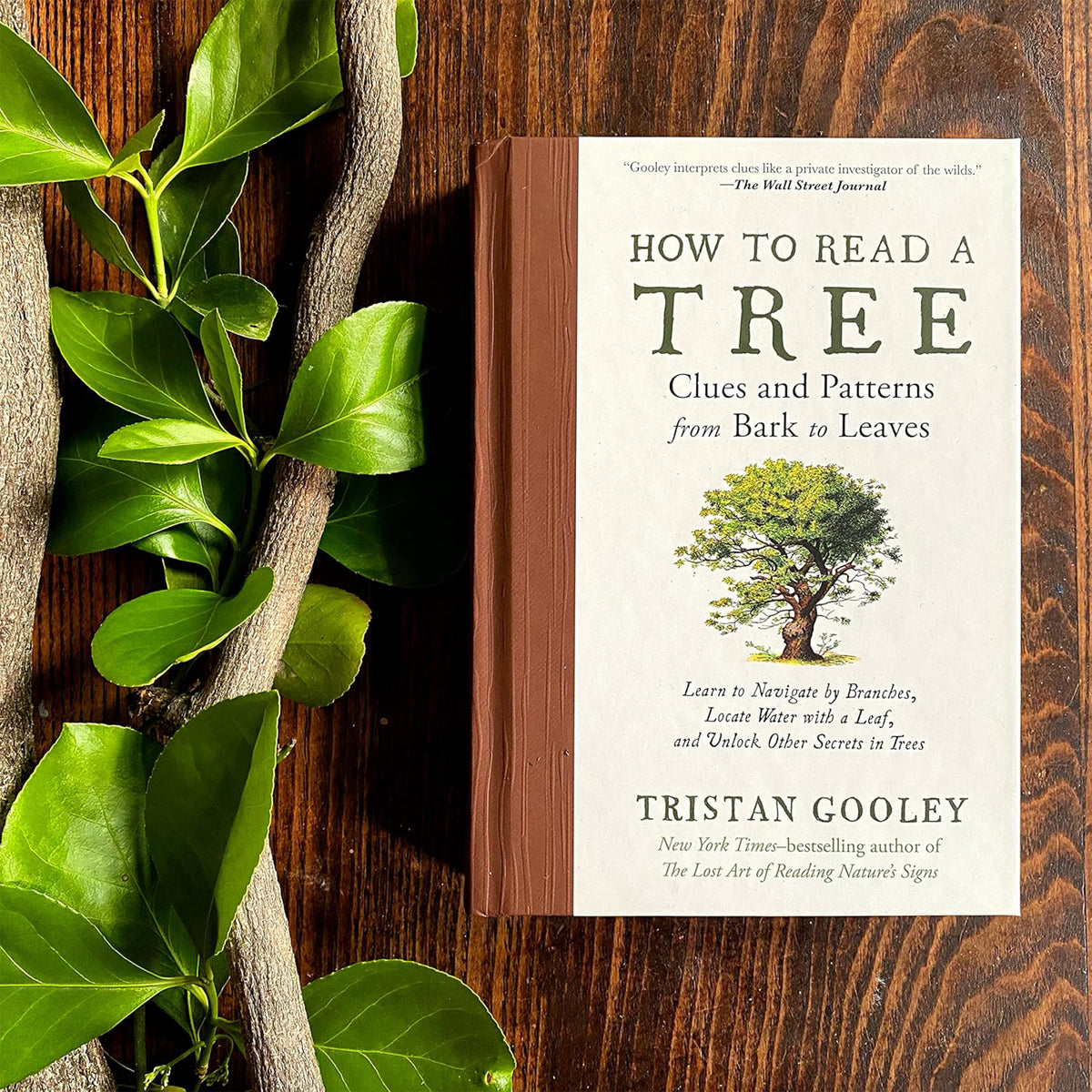 HOW TO READ A TREE