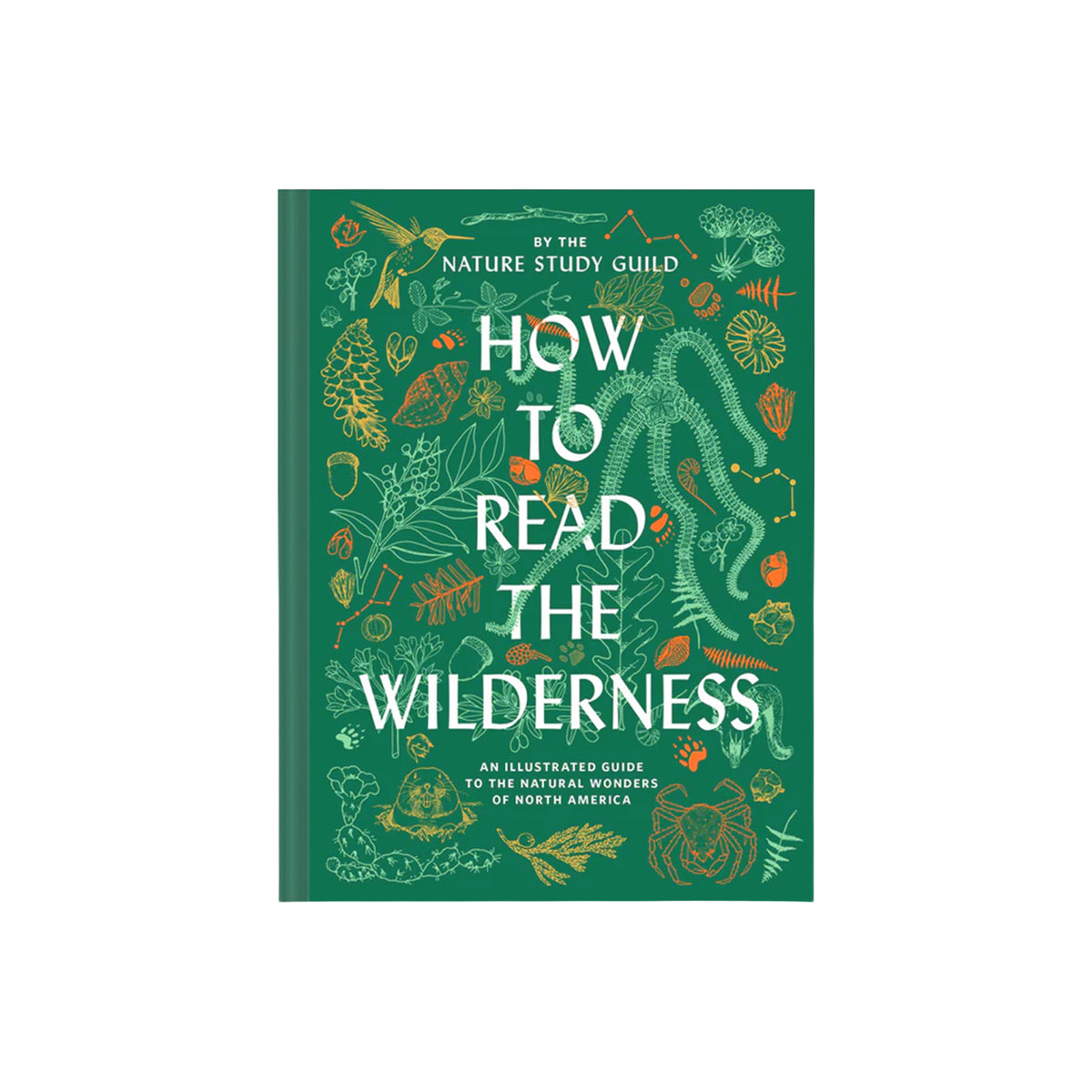 Book cover of 'How to Read the Wilderness' by the Nature Study Guild with nature-themed illustrations on a green background.
