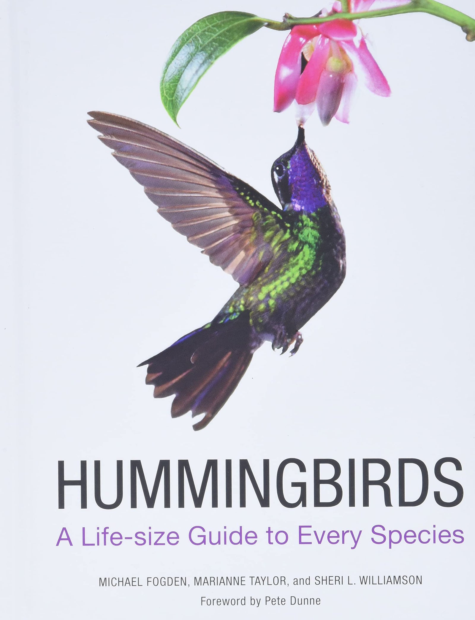 Hummingbirds have always held popular appeal, with their visual brilliance, flight dexterity, jewel-like color, and small size. This is the first book to profile all 338 known species, from the Saw-billed Hermit to the Scintillant Hummingbird. Every bird is shown life-size in full-color photographs. Hardcover 400 pages