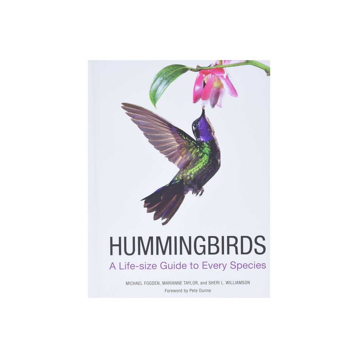 HUMMINGBIRDS: A LIFE-SIZE GUIDE TO EVERY SPECIES