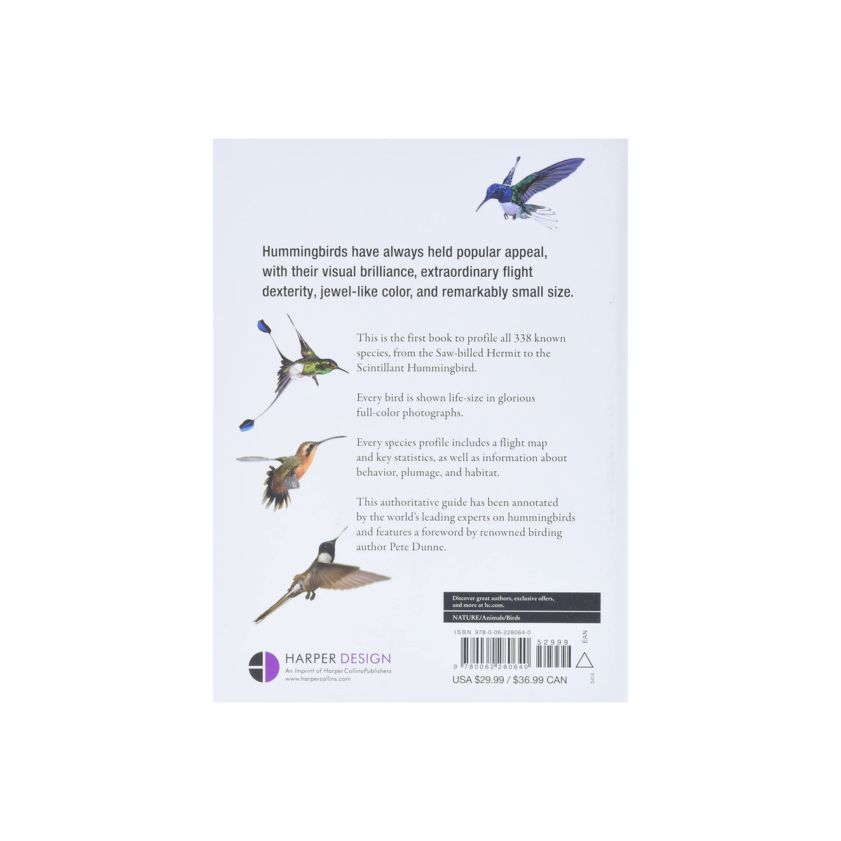 HUMMINGBIRDS: A LIFE-SIZE GUIDE TO EVERY SPECIES