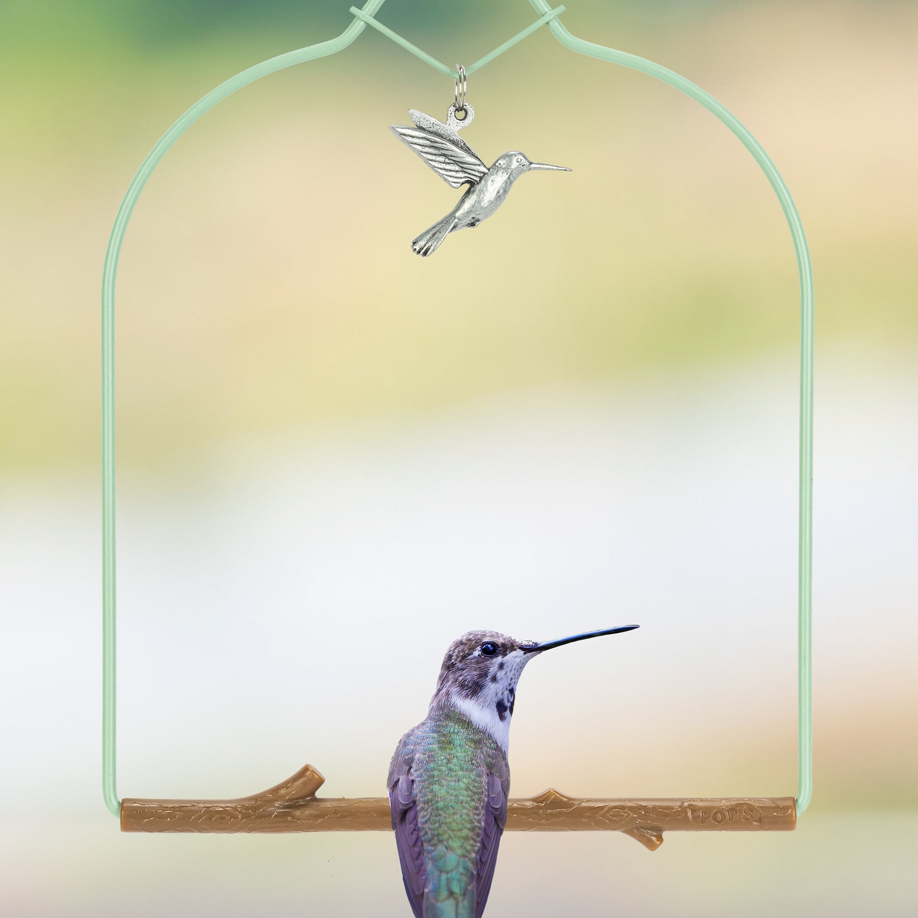 HUMMINGBIRDS - The Huntington Store