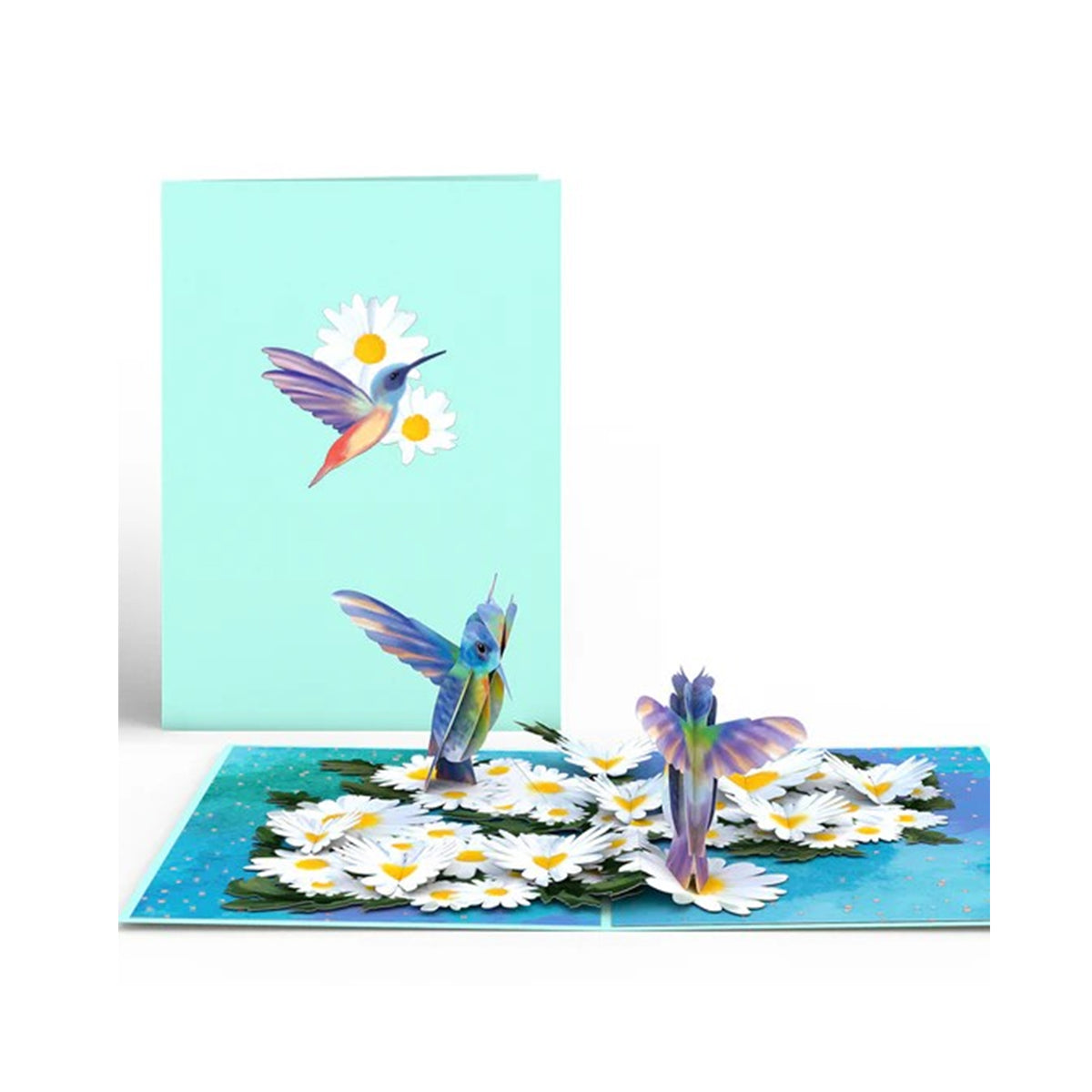 DAISY PATCH HUMMINGBIRDS POP-UP CARD