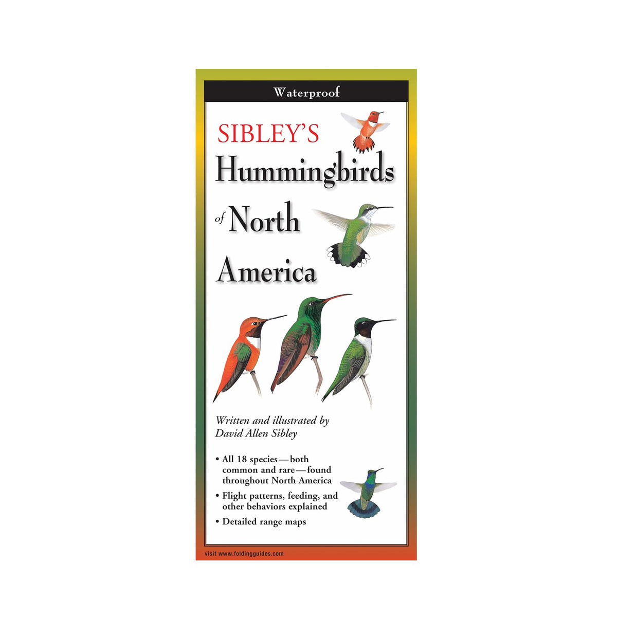 Book cover of 'Sibley's Hummingbirds of North America' with illustrations of hummingbirds on a white background.