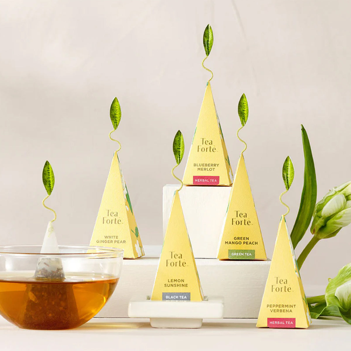 HYDRANGEA TEA COLLECTION PRESENTATION BOX