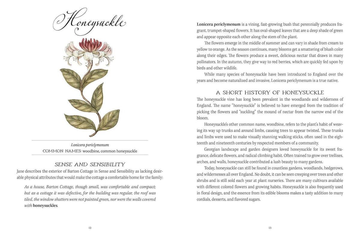 JANE AUSTEN'S GARDEN