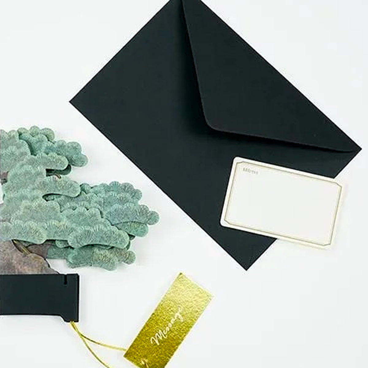 JAPANESE BLACK PINE BONSAI POP-UP GREETING CARD