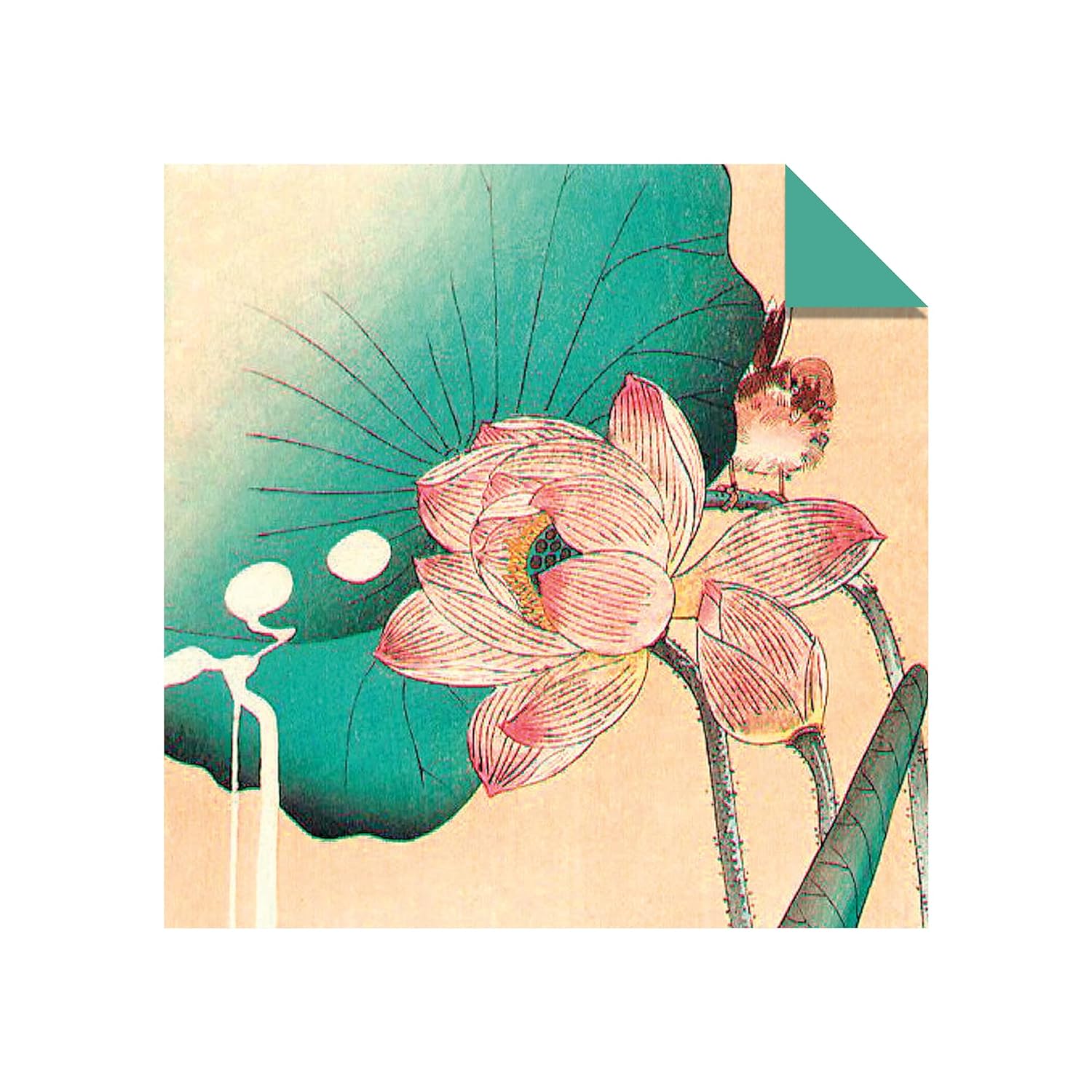 JAPANESE GARDEN ORIGAMI PAPER SHEETS – The Huntington Store