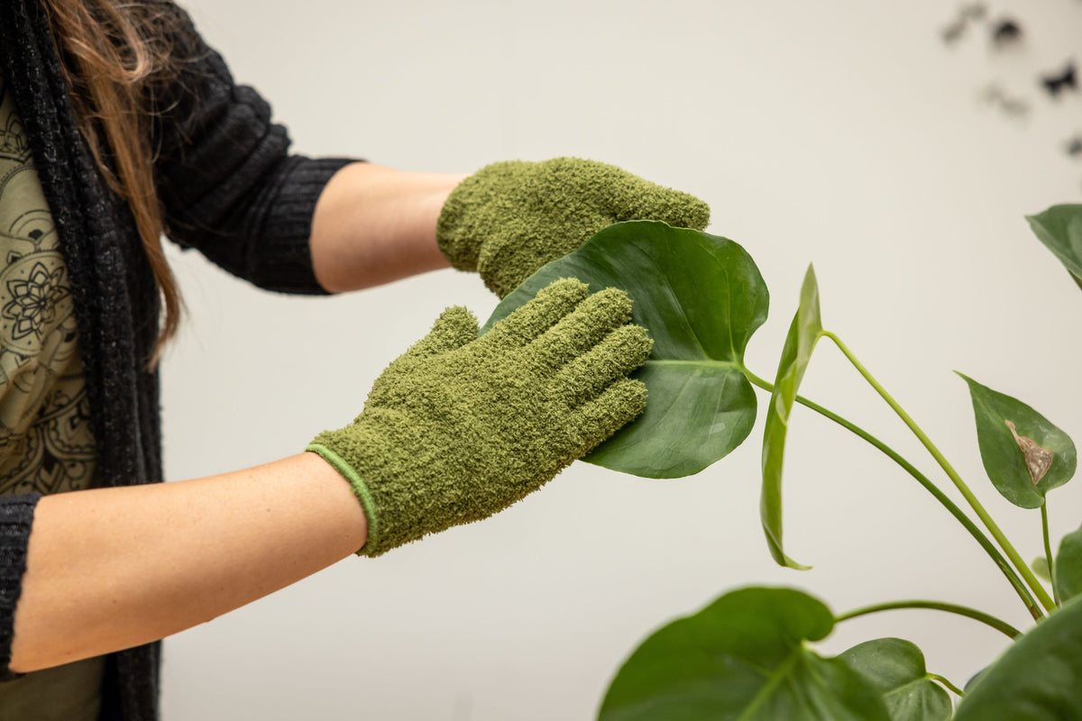 PLANT-DUSTING GLOVES