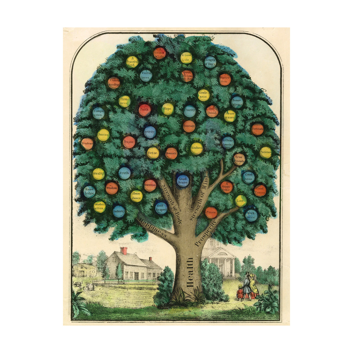 JOHN DERIAN WRAPPING PAPER BOOK