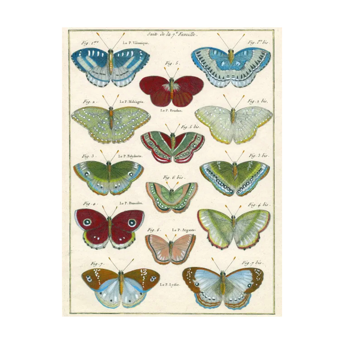 JOHN DERIAN WRAPPING PAPER BOOK