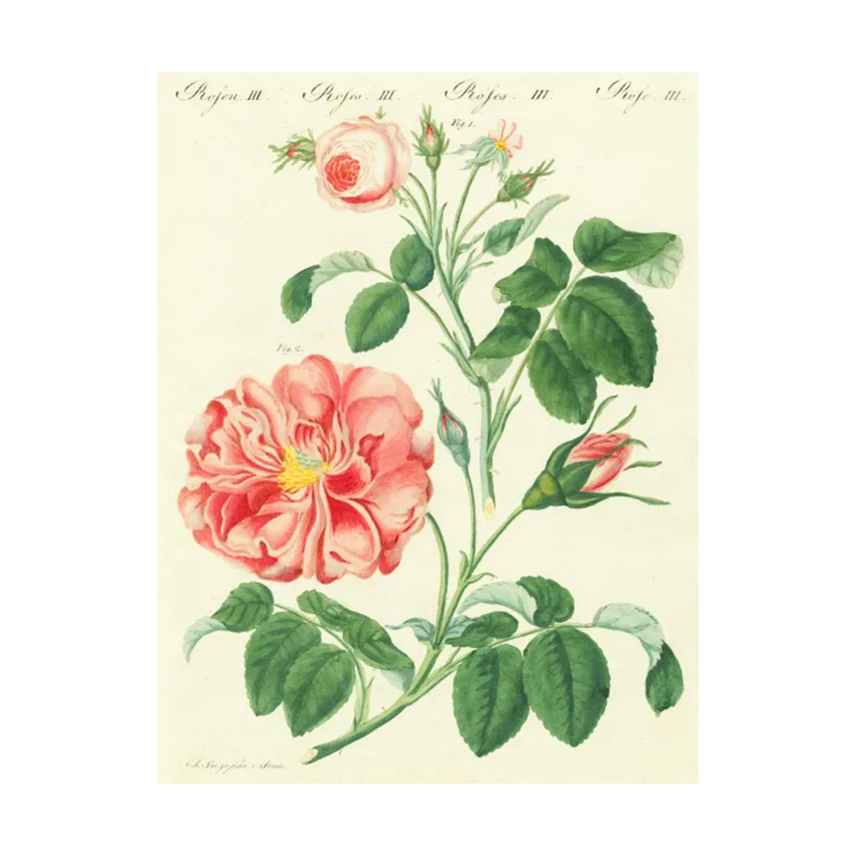 JOHN DERIAN WRAPPING PAPER BOOK