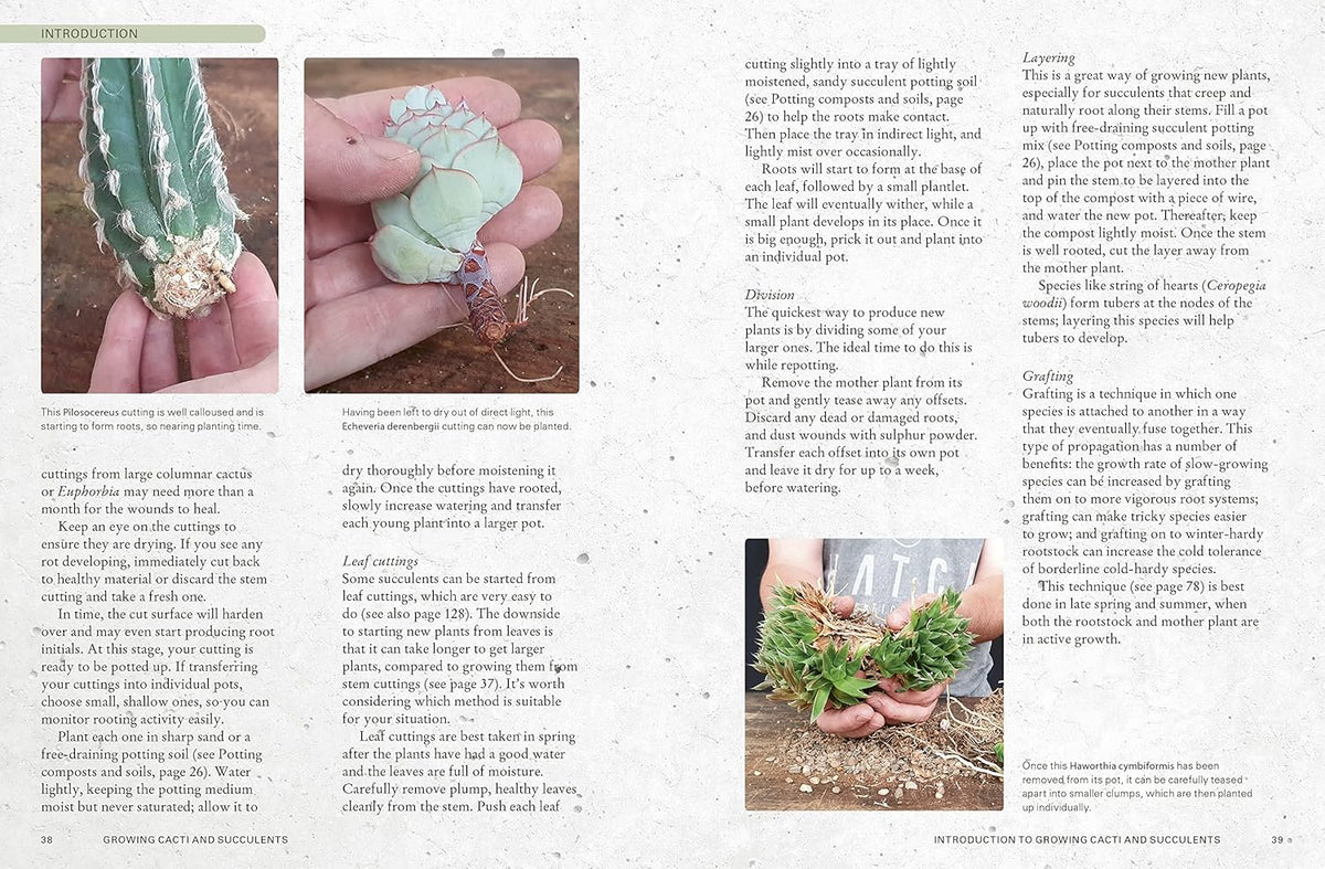 THE KEW GARDENER&#39;S GUIDE TO GROWING CACTI &amp; SUCCULENTS