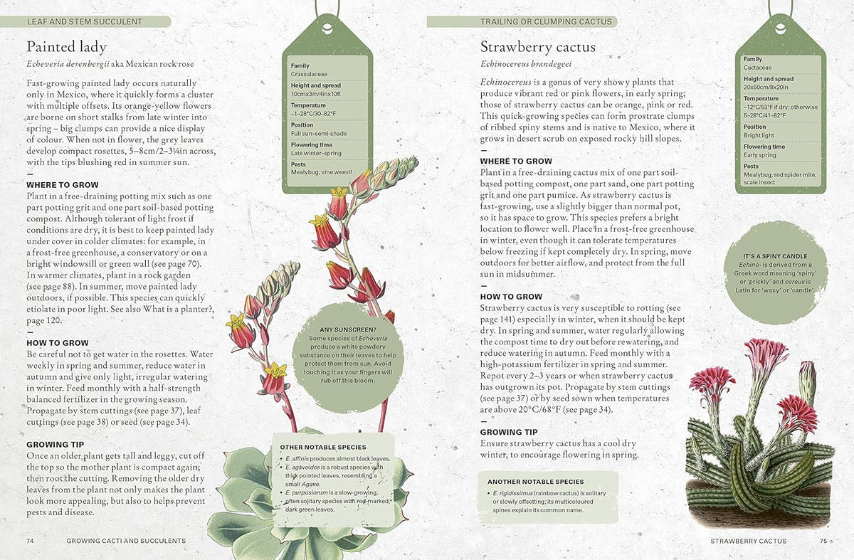 THE KEW GARDENER&#39;S GUIDE TO GROWING CACTI &amp; SUCCULENTS