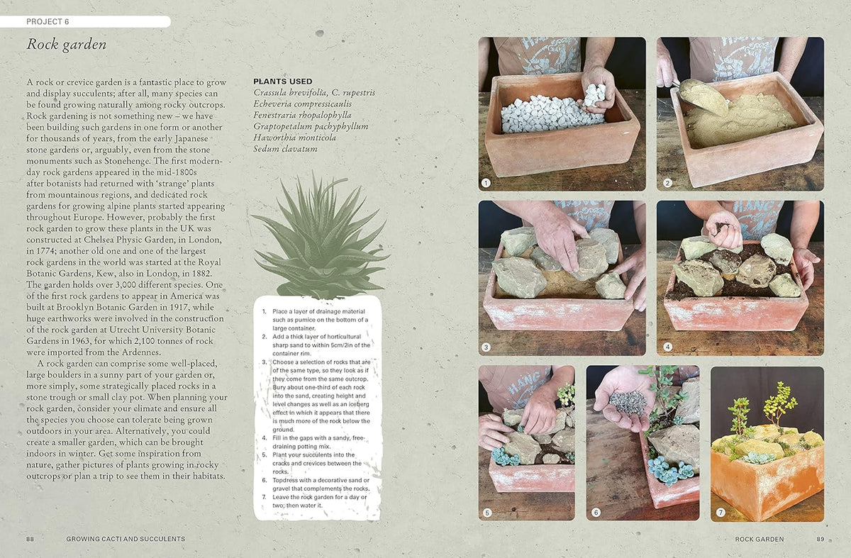 THE KEW GARDENER&#39;S GUIDE TO GROWING CACTI &amp; SUCCULENTS