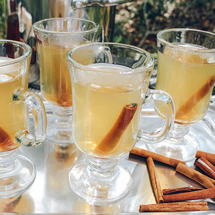Hot Toddy Lemon Ginger spice bag with cinnamon sticks and a white pouch on a white background