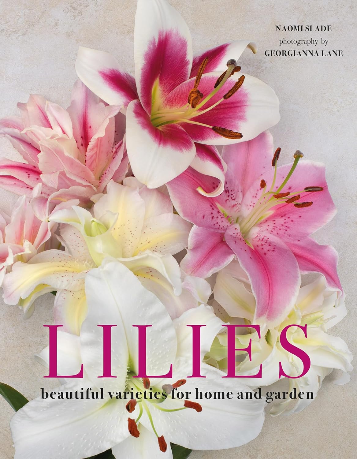 most beautiful lily flower LILIES: BEAUTIFUL VARIETIES FOR HOME & GARDEN