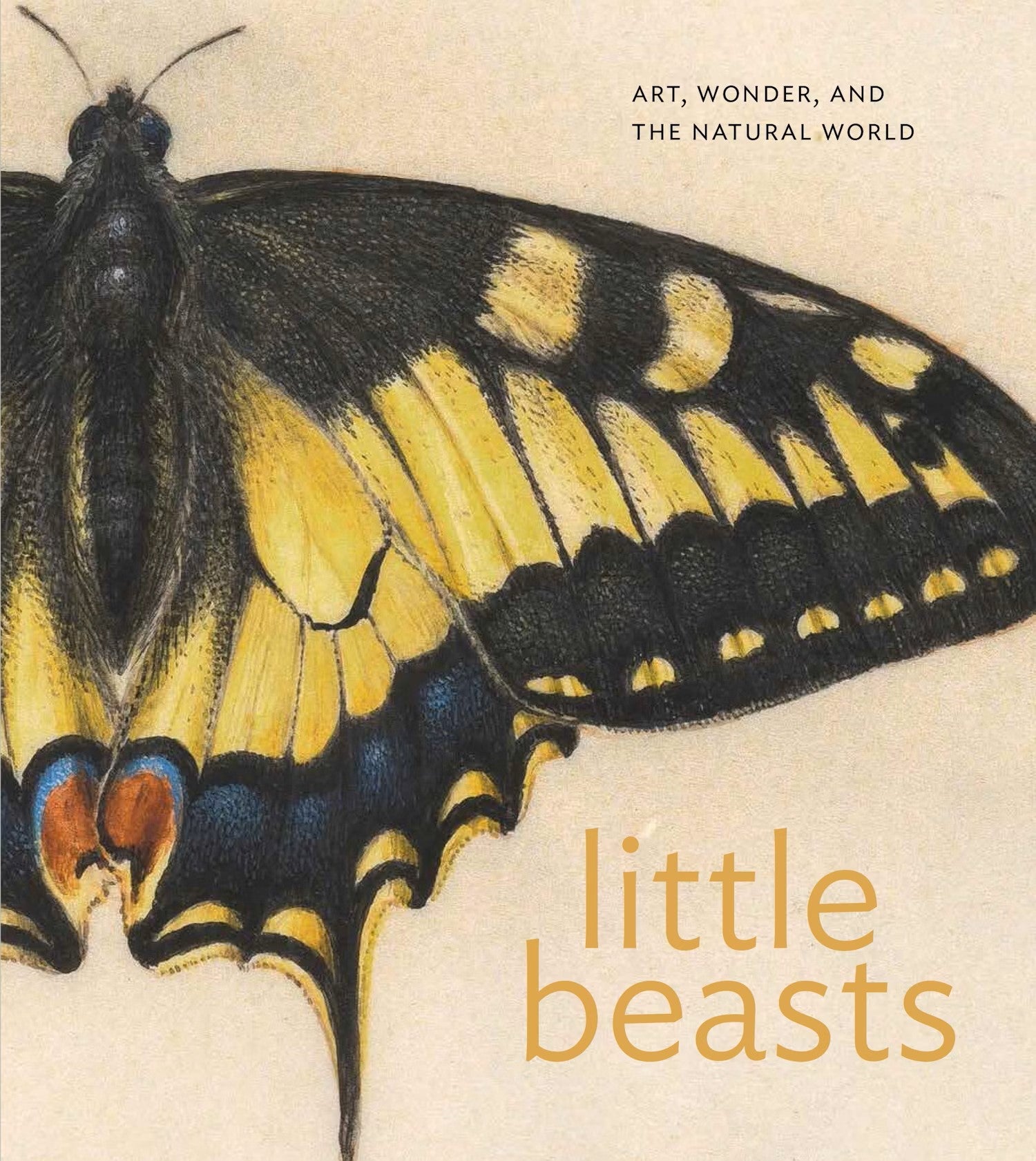 Art played a pivotal role in the development of natural history during the sixteenth and seventeenth centuries. European colonial expansion enabled naturalists to study previously unknown insects, animals, and other beestjes—“little beasts”—from around the globe. Little Beasts explores how artists such as Joris Hoefnagel and Jan van Kessel helped deepen and spread knowledge of these creatures with highly detailed and playful works that inspired generations of printmakers, painters, decorative artists, and n