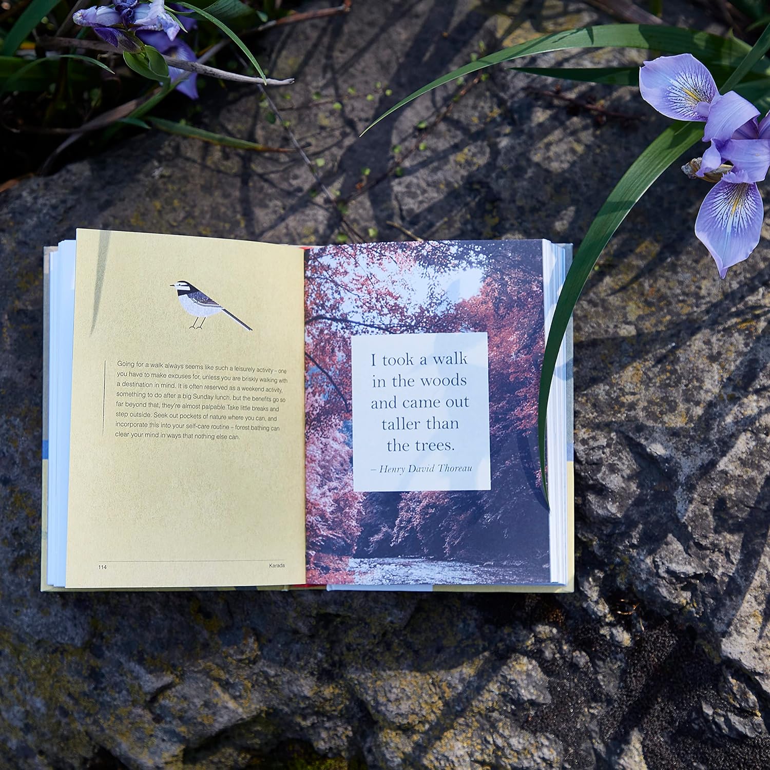 Book cover of 'A Little Book of Japanese Contentments' with illustrations of a bird, flowers, and a pot.