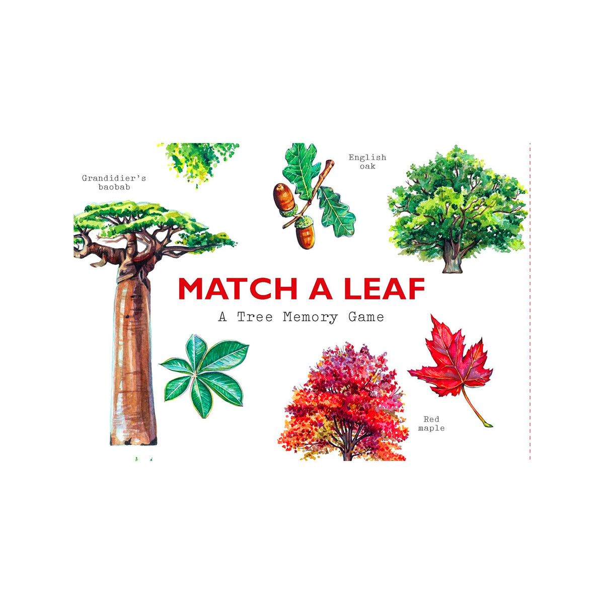 MATCH A LEAF: A TREE MEMORY GAME