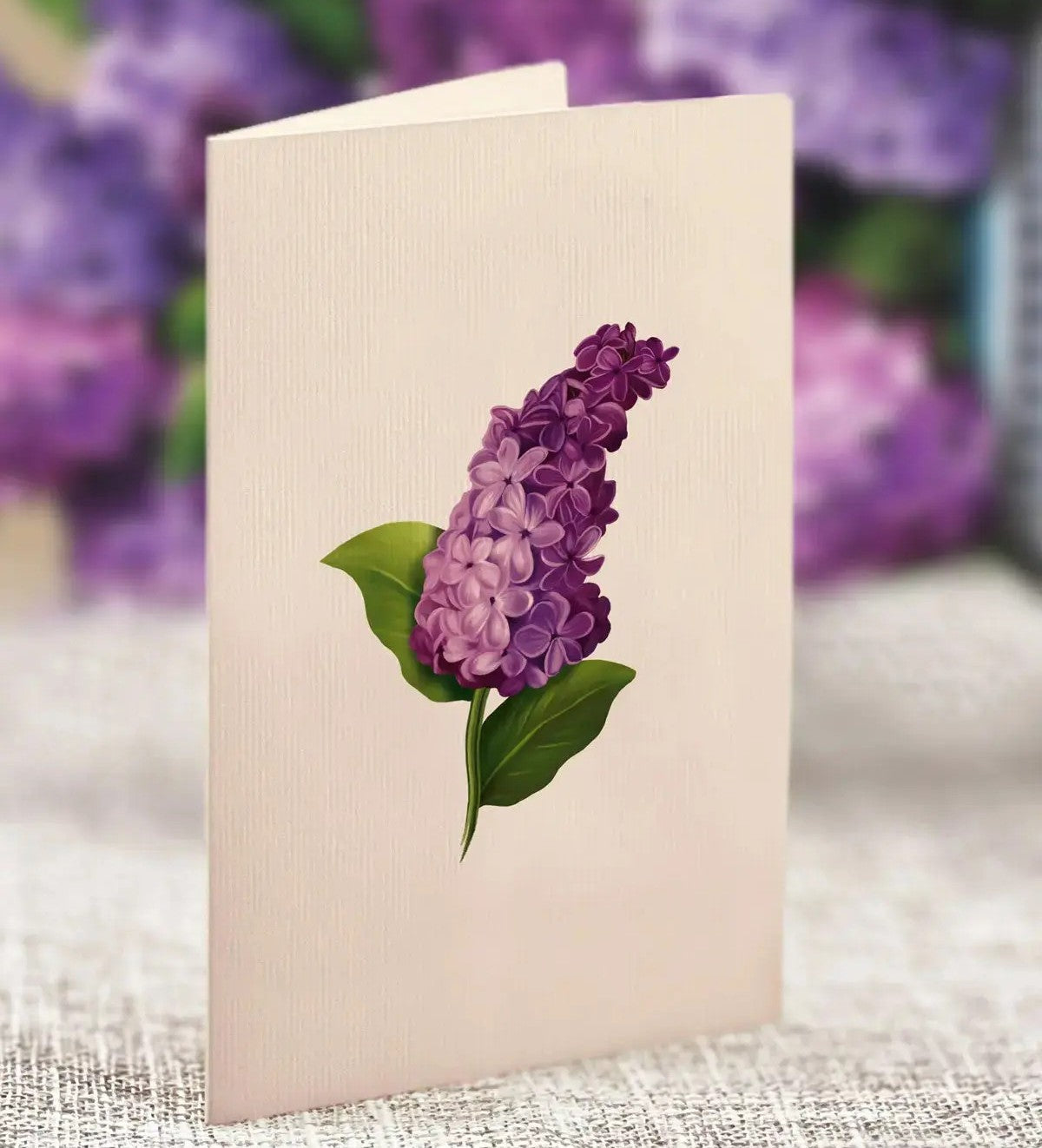MINI POP-UP BOUQUET  - GARDEN LILACS